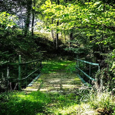 Belle Grange En Bord De Riviere Serres-sur-Arget