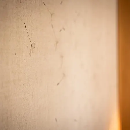 Belle Grange En Bord De Rivière Serres-sur-Arget