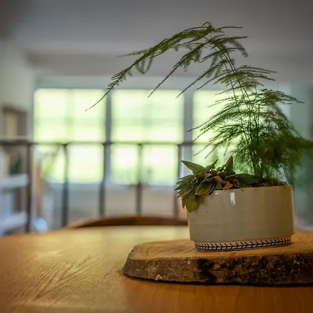 Casa vacanze Belle Grange En Bord De Rivière Serres-sur-Arget