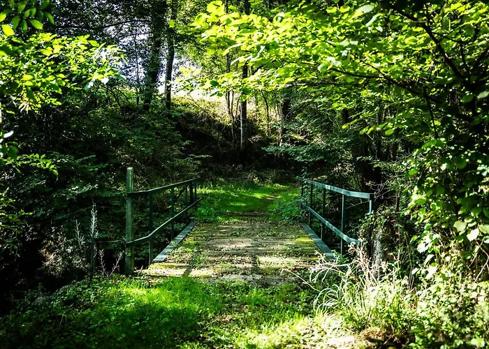 Belle Grange En Bord De Riviere Serres-sur-Arget