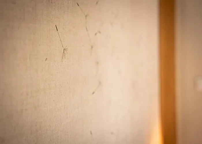 Belle Grange En Bord De Riviere Serres-sur-Arget