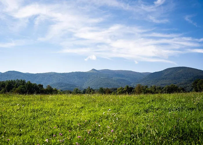 Belle Grange En Bord De Riviere Σπίτι διακοπών Serres-sur-Arget