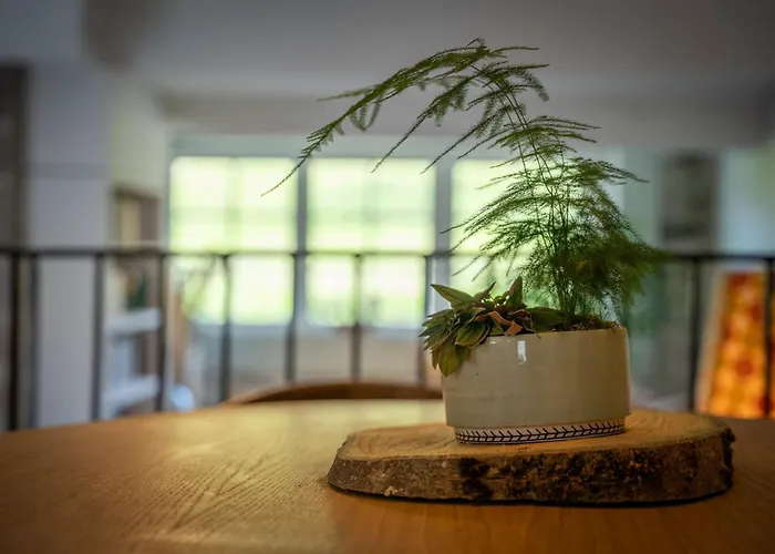 Σπίτι διακοπών Belle Grange En Bord De Riviere Serres-sur-Arget